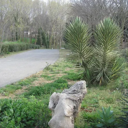 Folco * Piazza Armerina